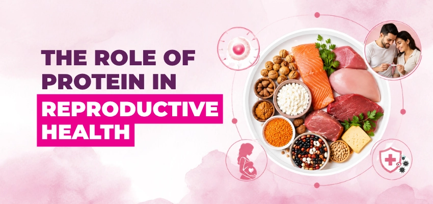 news-images/The Role of Protein in Reproductive Health.webp
